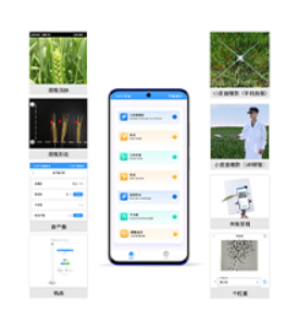 便携式小麦表型分析系统